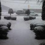 weather